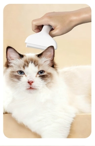 Detail shot of a white ergonomic pet grooming brush grooming a long-haired Ragdoll cat