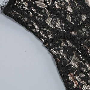 Dettaglio ravvicinato di pizzo nero con intricati motivi floreali su uno sfondo in mesh