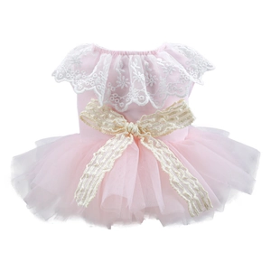 Close-up of pink pet princess dress with white lace collar and large mesh bow detail