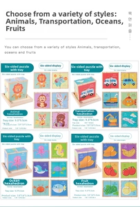 Detail view of 3D wooden blocks puzzle showing four themes and 9.5x9.5cm tray dimensions