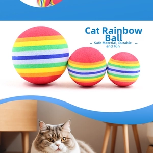 Palline colorate in EVA per animali in tre misure con un gatto ragdoll in casa