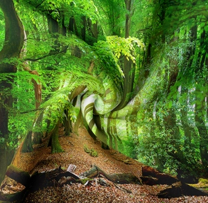 Detail showing high-definition green forest landscape print on soft hanging tapestry fabric