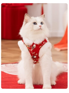 Detail of red festive pet vest with white fur trim and traditional Chinese embroidery