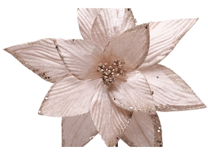 Détail d'un poinsettia artificiel doré champagne avec paillettes pour décor de Noël
