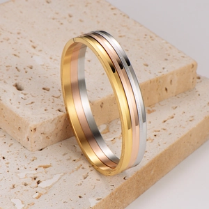 Conjunto de brazaletes de acero inoxidable de 4mm en oro, oro rosa y plata pulida