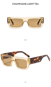 Front and side view of square champagne sunglasses with light tea lenses and tortoiseshell arms