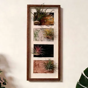 Wooden Air Plant Display Frame Magnetic Wall Hanging Desktop Photo Holder Nordic Style Minimalist Home Decor
