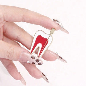 Medical tooth anatomy brooch in red white and gold enamel held in hand on white background