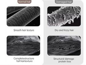 Comparison showing microscopic structure of normal versus dry and damaged hair strands