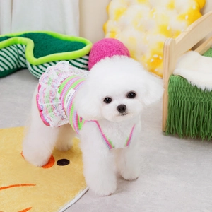 Colorful striped pet dress with lace trim shown on a white dog in a cozy indoor setting