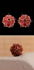 Macro detail of Rudraksha beads showing 5 and 6 petal textures on a stone base