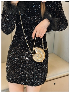 Detailed view of a golden nautilus shell clutch bag with a metallic chain strap