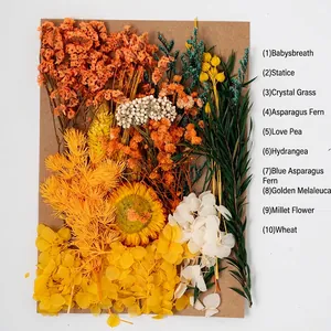 DIY dried flower kit with assorted botanical materials on brown cardboard for crafts