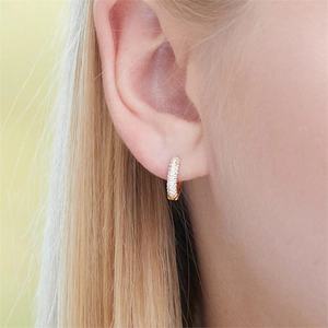 Luxurious gold S925 sterling silver U-shaped hoop earrings with shimmering micro-pave crystals