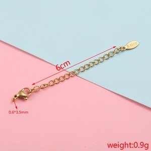Detailed view of 6cm golden stainless steel extension chain with lobster clasp and weight specs