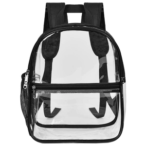 Macro view of transparent PVC backpack with black mesh pockets and zipper details