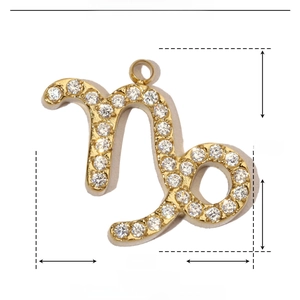 Detailed size parameters of gold Capricorn zodiac pendant with zircon in stainless steel