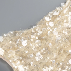 Detailed macro shot of champagne lace fabric with sequins and pearls on evening dress
