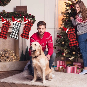 Three bone-shaped plaid Christmas stockings displayed in a cozy festive living room setting