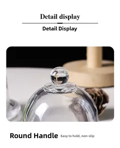 Detail view of transparent glass cake dome lid with a round knob handle for easy grip