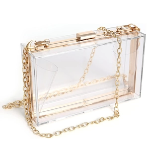 Transparent acrylic box clutch bag with gold metal frame and chain strap on white background