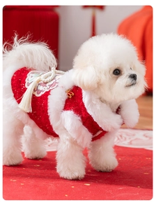Dettaglio del gilet rosso per cani stile Tang con collo in pelliccia e ricami