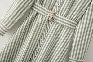 Dettaglio dell'abito a camicia a righe verdi con cintura e fibbia dorata e bottoni