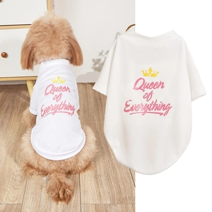 Detail of white mesh pet T-shirt with Queen of Everything text and crown print