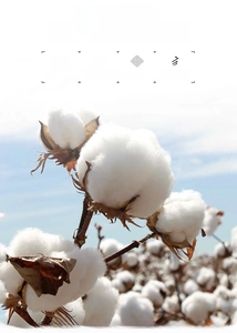 Detail shot of 100% natural cotton fibers showcasing breathable and soft fabric texture
