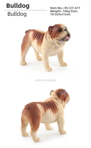 Detailed views of a brown and white bulldog model toy, size 10.5x5x7.5cm and 146g weight