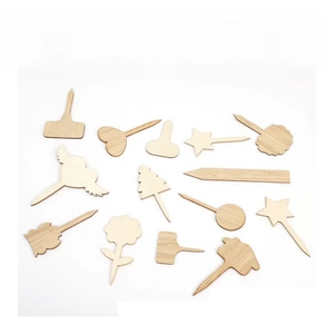 Various unfinished wooden plant labels in star, heart and tree shapes for garden decor