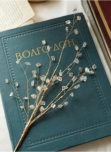 Macro shot of gold decorative twigs with crystal beads on a vintage book cover