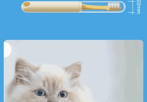 Detail of 22mm small pet toothbrush head for cats with portable travel storage case