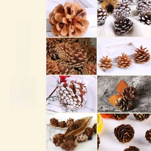 Detail of natural pine cones for Christmas decor showing snowy tips and rustic textures