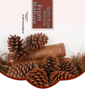 Close-up of natural brown pine cones with decorative wood logs and dried twigs