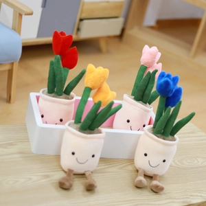 Plush tulip succulents in five colors with smiling faces in a white wooden box