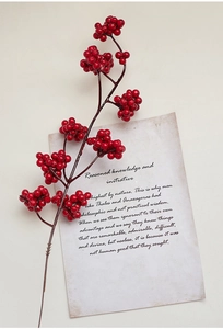 Close-up of artificial red berry stem on vintage manuscript paper for holiday decor