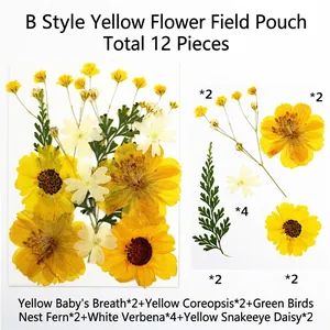 Dettaglio del kit in resina floreale fai-da-te con 12 petali di fiori secchi pressati