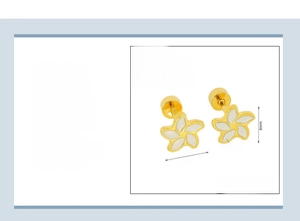 Detailspezifikationen der 8mm 18k vergoldeten Edelstahl Blumenstecker-Ohrringe