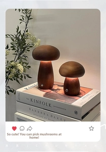 Detail of wooden mushroom lamps on books with warm ambient lighting and metal switch