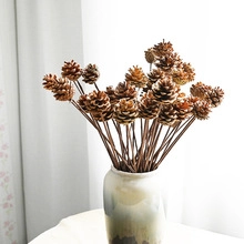 Detail of natural dried pine cones in a vase for minimalist home decor and floral arrangements