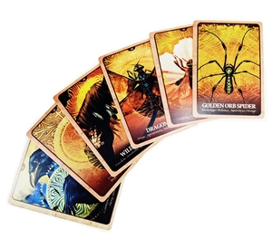 Detail of Sea Soul Journey Oracle cards with animal illustrations and keywords on white background