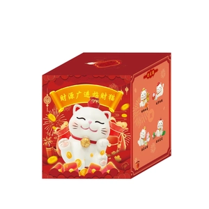 Coffret cadeau chat de la fortune rouge avec des symboles traditionnels de prospérité