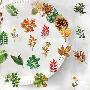 Set of 50 waterproof transparent PET botanical stickers with diverse plant and flower motifs