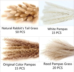 Detailed overview of white and natural pampas grass with rabbit's tail grass set for decor