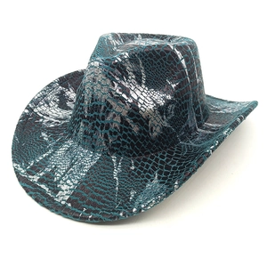 Détail de la texture serpent bleu sarcelle et argent sur un chapeau de cowboy à bord incurvé