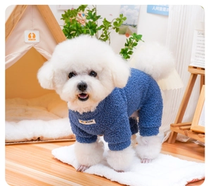 Detail of dark blue fleece pet jumpsuit on a Bichon dog in a cozy home setting