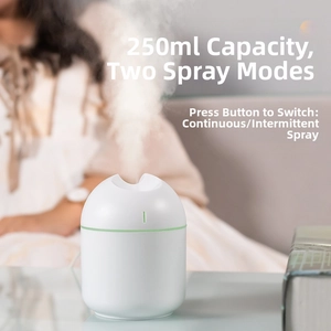 Close-up of 250ML portable humidifier with dual mist modes and sleek white design
