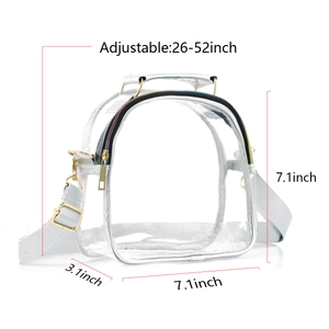 Transparent PVC crossbody bag with white trim and gold hardware including dimensions