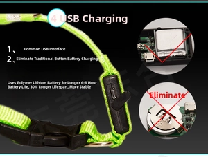 Détail du collier LED pour chien avec port USB et informations sur la batterie interne